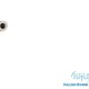 Straight-1-downWeb.jpg Straight Stainless Steel Fitting