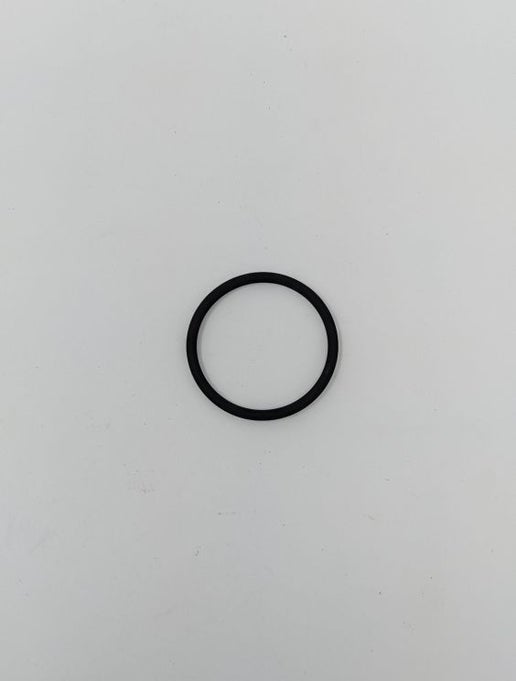 Check Valve Port (Viton)