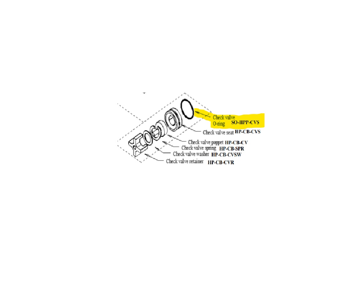 Check Valve Seat Seal
